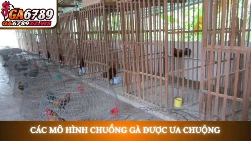 Các mô hình chuồng gà được ưa chuộng
