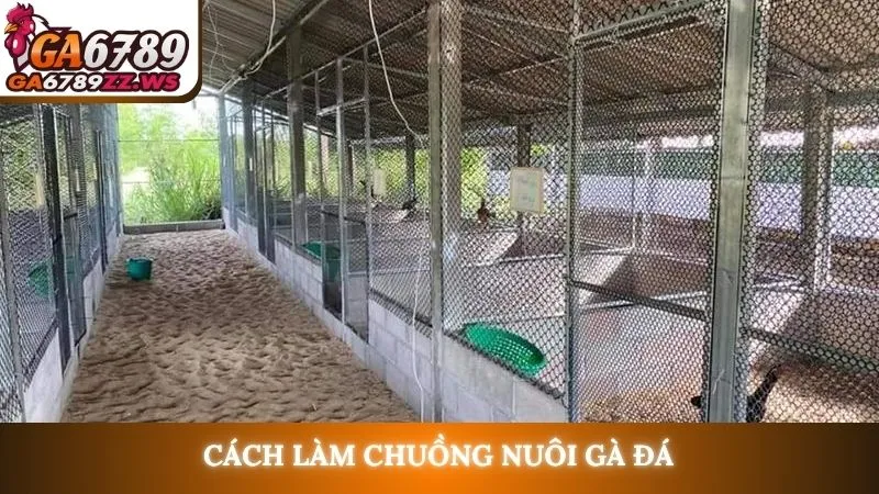 Cách làm chuồng nuôi gà đá