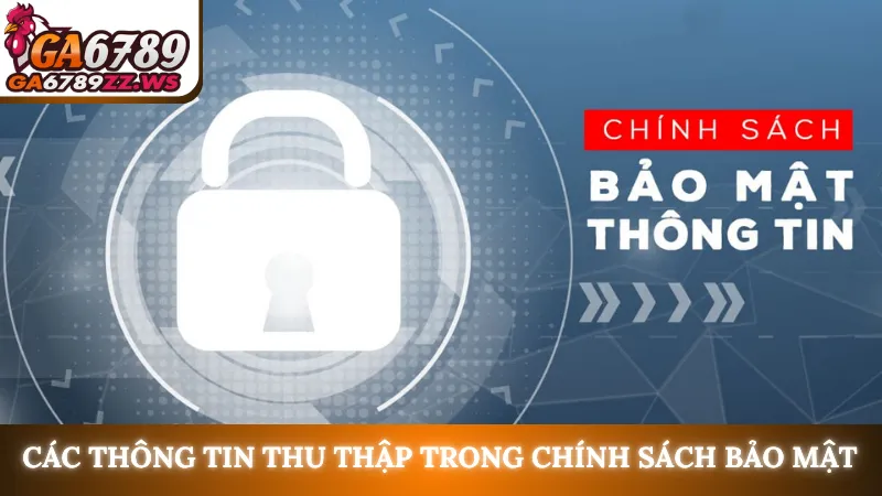 Các thông tin thu thập trong chính sách bảo mật