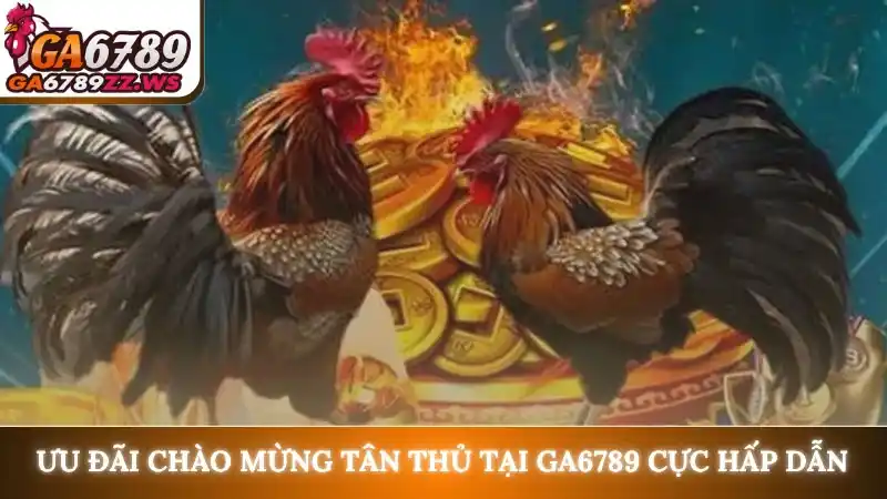 Khuyến mãi chào mừng thành viên mới gia nhập Ga6789 cực hấp dẫn Khuyến mãi chào mừng thành viên mới gia nhập Ga6789 cực hấp dẫn