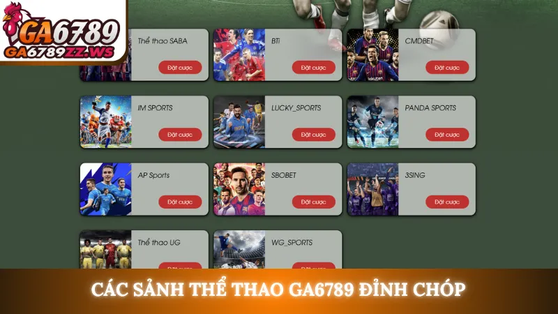 Các sảnh thể thao Ga6789 đỉnh chóp